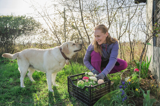 Smiling woman planting flowers crouching by dog in garden