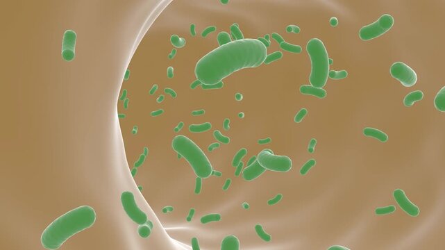 Escherichia coli bacteria cell medial bg able to loop endless 4k