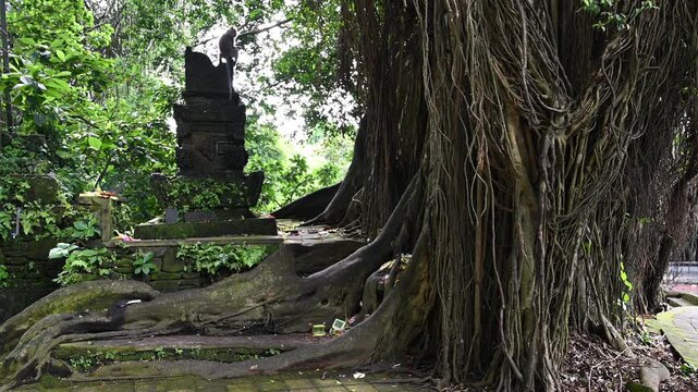 Monkey sits on temple shrine in Ubud