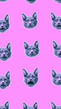 Seamless young vertical video of cartoon style cats with duotono colors isolated with copyspace. Stop motion minimal animal art halftone style background.