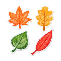 Obraz premium PNG Colorful autumn leaf illustrations.