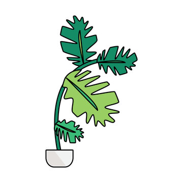 Tropical plant icon symbolizing indoor greenery, office decoration, home interior, botanical design, and natural workspace styling