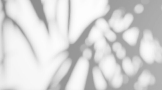 Abstract blurred shadow overlay with dappled light texture on white background.
