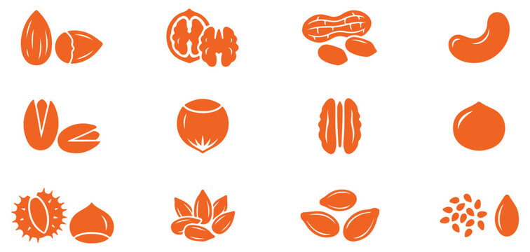 Nuts and seeds icon set healthy food collection isolated on white background