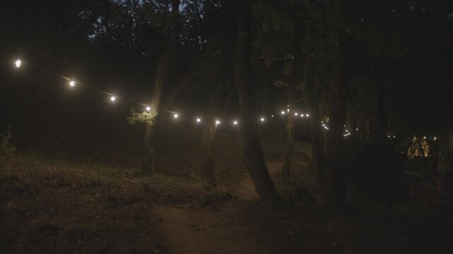 Camera moves forward along a dark forest path at night, illuminated by a string of glowing decorative light bulbs hanging from the trees