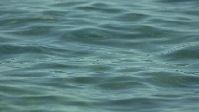 Water ripples surface. Gentle waves move across the surface of a calm turquoise lake creating a tranquil natural texture