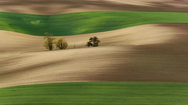 Aerial view of rolling hills with green and brown agricultural fields and small trees in Cejkovice, South Moravian Region, Czechia.
