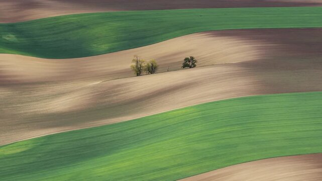 Aerial view of rolling green and brown fields with small trees in Cejkovice, South Moravian Region, Czechia.