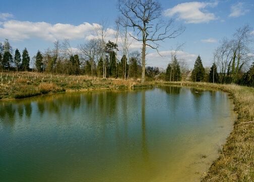 Large garden pond newly made and filled