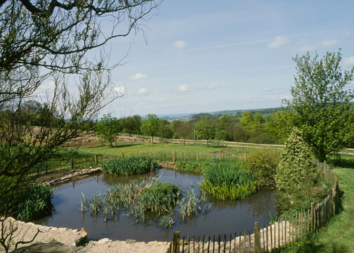Garden pond fenced off