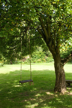 UK gardens. Traditional childs garden swing in the shade of a tree.