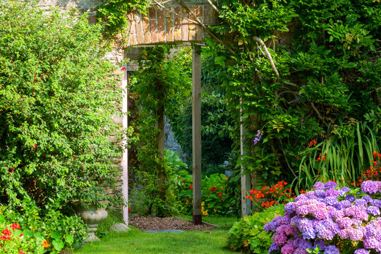 UK gardens. A beautiful summer walled garden border flowerbed display including various Hydrangeas. An open door shows a glimpse of a walled vegetable garden beyond.