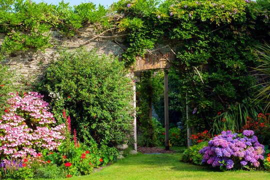 UK gardens. A beautiful summer walled garden border flowerbed display including various Hydrangeas. An open door shows a glimpse of a walled vegetable garden beyond.