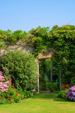 UK gardens. A beautiful summer walled garden border flowerbed display including various Hydrangeas. An open door shows a glimpse of a walled vegetable garden beyond.