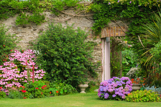 UK gardens. A beautiful summer walled garden border flowerbed display including various Hydrangeas. An open door shows a glimpse of a walled vegetable garden beyond.