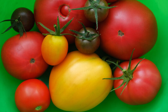 Tomato, tomatoes,