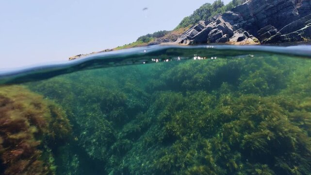 Clear Sea Water Split View at Silistar Beach in Bulgaria
