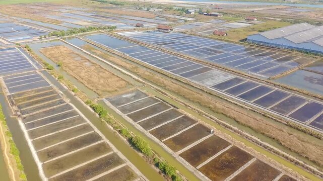 Aerial view of traditional salt ponds in Demak, Central Java, Indonesia