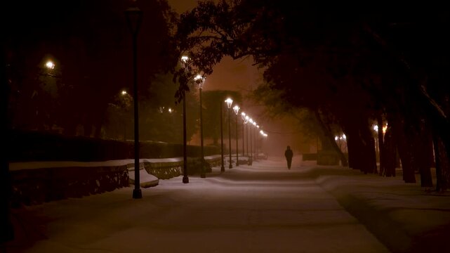 Fabulous view of the snow-covered city park at night, with trees in the snow, cozy warm light of lanterns.