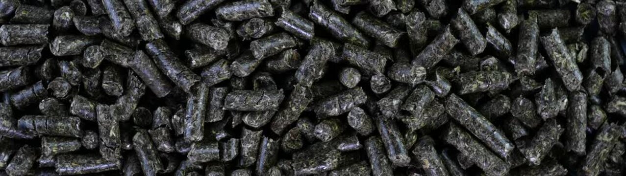 Biomass fuel pellets representing sustainable energy and eco friendly heating Organic material forming renewable resources.