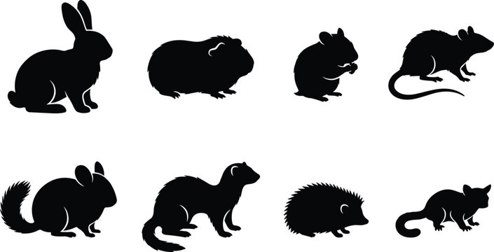 Small pets and rodents silhouettes set including rabbit guinea pig hamster rat chinchilla ferret hedgehog sugar glider vector