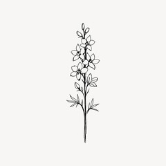 Obraz premium Minimalist line drawing of a delicate flower on a plain background.