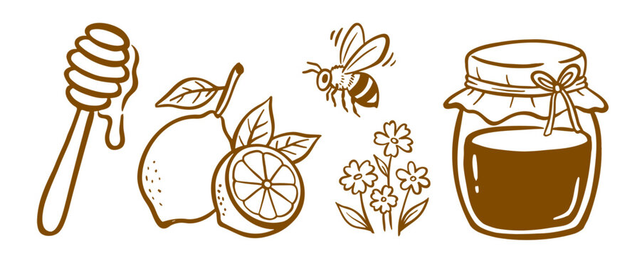 Honey Bee jar and lemon set line art vector illustration