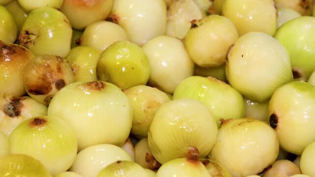 Onions move on a conveyor belt at a modern food processing complex.