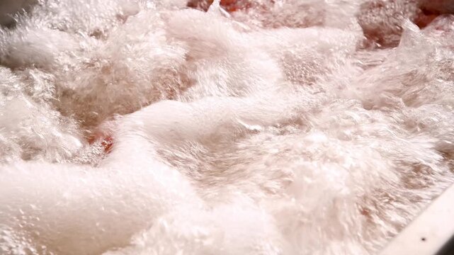 The process of washing tomatoes at an agricultural processing plant.