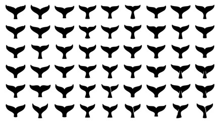 Fototapeta premium Set of whale tails in minimalist silhouette style for marine conservation and ocean life branding design elements