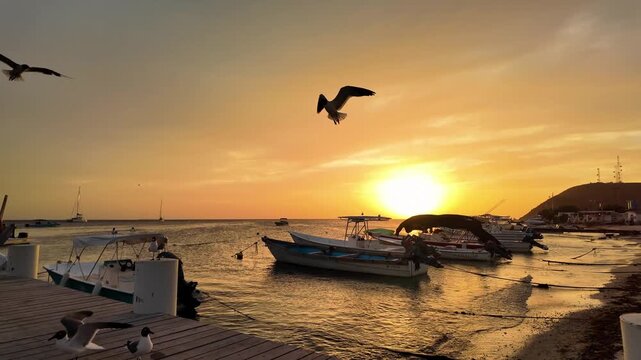 Sunset over a Caribbean harbor with moored fishing boats and seagulls flying near a wooden dock, Los Roques Archipelago, Venezuela