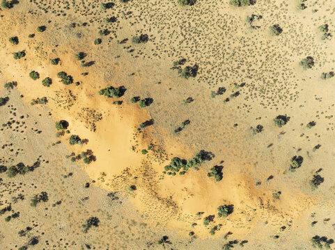 Aerial view of the arid landscape with scattered shrubs and golden sand dunes in the Kalahari Desert, Hardap Region, Namibia.