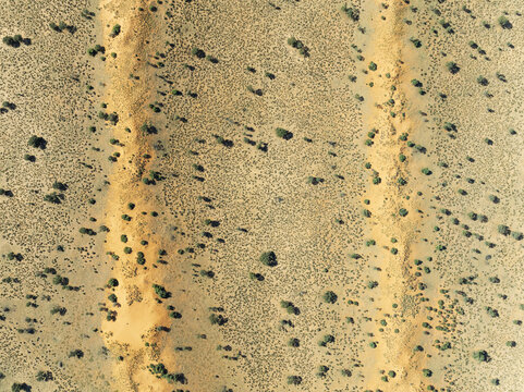Aerial view of the Kalahari Desert with its characteristic parallel sand dunes and sparse desert vegetation in the Kalahari Desert, Hardap Region, Namibia.