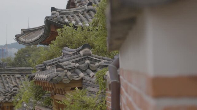 A Bird Hops Around on Giwa Roofs and Flys Away in Bukchon Hanok Village, Seoul