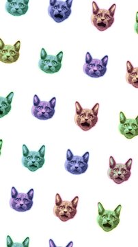 Seamless young vertical video of cartoon style cats with duotono colors isolated with copyspace. Stop motion minimal animal art halftone style background.