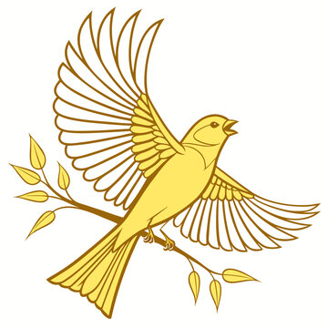 Canary Logo Vector Design. Domestic canary in flight logo image vector.