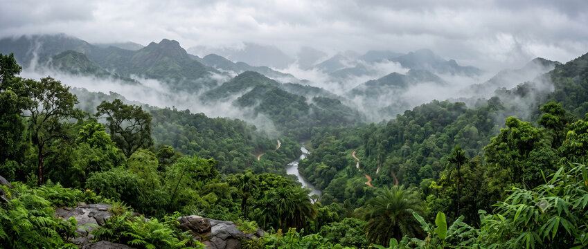 Misty Western Ghats mountain landscape in Kerala with dense tropical forests rolling hills low clouds and peaceful monsoon atmosphere in South India