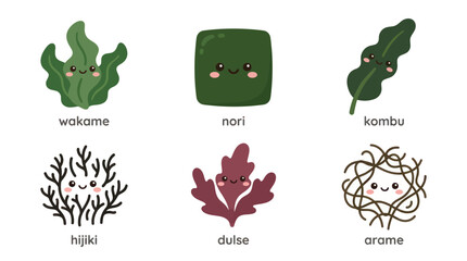 Assortment of cute seaweeds in different shapes © Riski