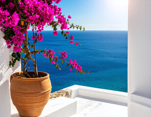 Obraz premium Vibrant pink bougainvillea flowers in a clay pot bloom on a sunny Mediterranean balcony with no people, overlooking the tranquil blue ocean to evoke peaceful summer serenity.
