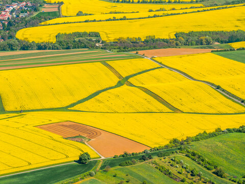 Aerial view of vibrant yellow rapeseed fields in bloom interspersed with green agricultural land and dirt paths in the countryside of Brno, South Moravian Region, Czechia.