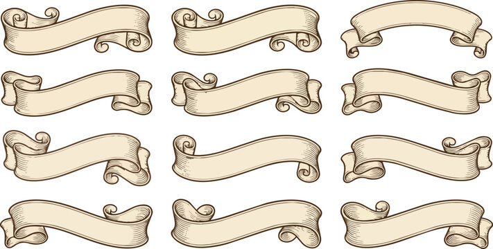 Vintage scroll ribbon vector illustration set featuring various artistic designs displayed clearly on white background