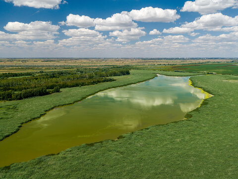 Aerial view of the lush green wetlands and reeds of the Carska Bara nature reserve near Belo Blato, Vojvodina, Serbia.