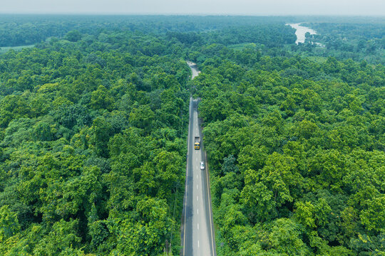 Aerial view of a road winding through the dense green canopy of Madhupur National Forest, with a truck and a car driving along the route in Tangail District, Dhaka Division, Bangladesh.