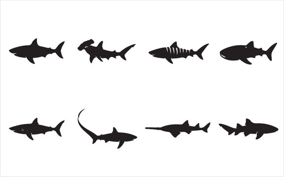 Sharks in Various Silhouettes and Styles Featuring Shark, Silhouette, Ocean with Marine and Predator Elements for Animal