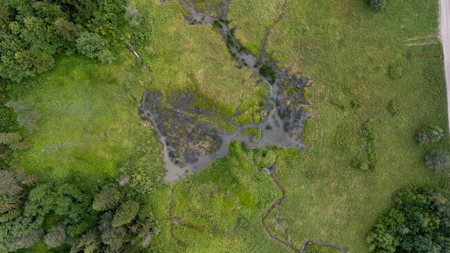Forest Wetland Road Aerial Radocyna, Poland