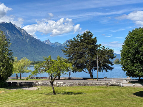 Picturesque european landscape showcasing the serene lake geneva reflecting a vibrant blue sky with soft white clouds. Bordered by verdant trees and a well-maintained lawn