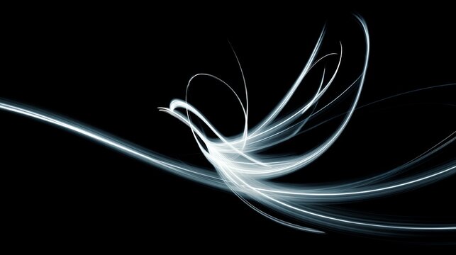 Minimalist glowing white light streak wave forming abstract bird flying shape on dark background light motion trail overlay