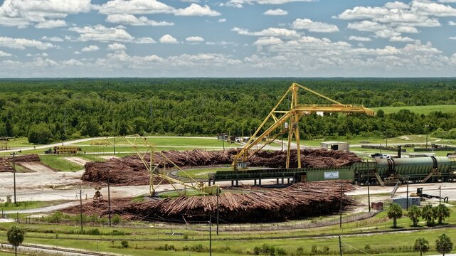 Aerial view of Georgia-Pacific Palatka Operations paper mill with large log piles, a yellow crane, and industrial infrastructure surrounded by forest in Palatka, Florida, United States.