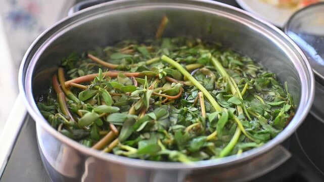 Boiling Fresh Wild Greens Purslane in a Stainless Steel Pot on Stovetop Traditional Mediterranean Healthy Cooking Food Preparation