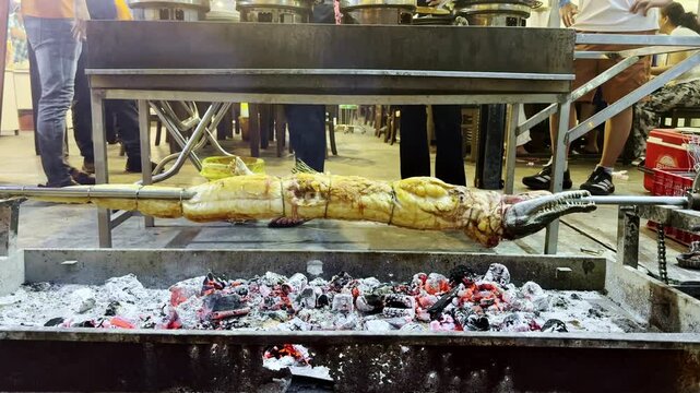 Whole crocodile roasting on a rotating spit over hot charcoal during outdoor barbecue cooking. Traditional exotic cuisine prepared over an open fire.